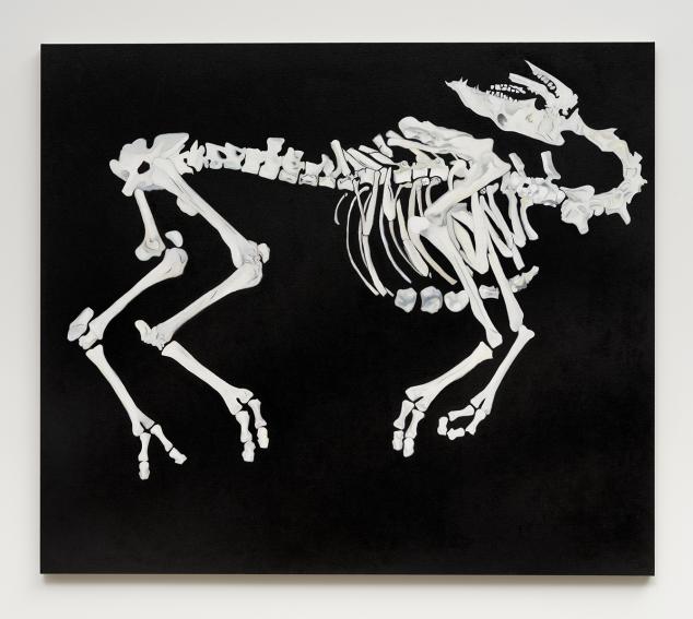 A free-floating, two-dimensional white camel skeleton over a black background. It takes up most of the frame to the edges.