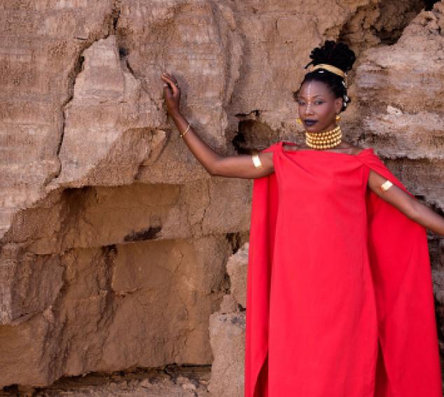 The musician poses in front of a natural rock background in a formal dress