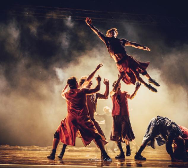 Compagnie Hervé KOUBI