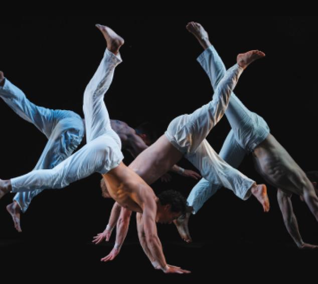 Pilobolus