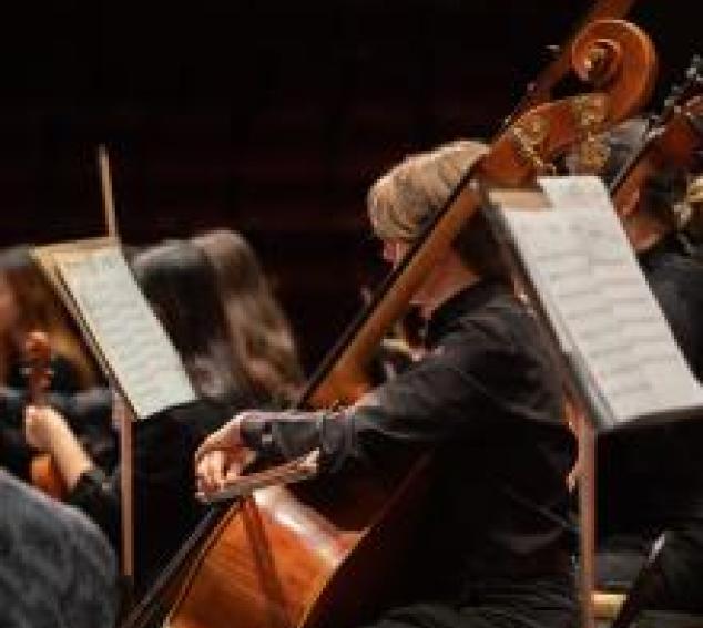 Orchestra detail