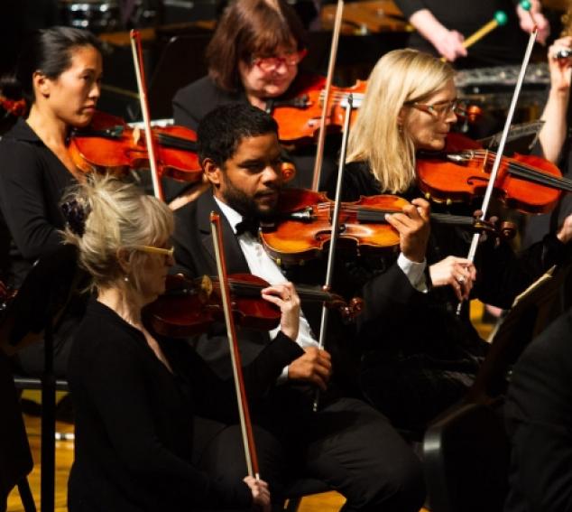 Harmonia orchestra (Shayalyon Photo)