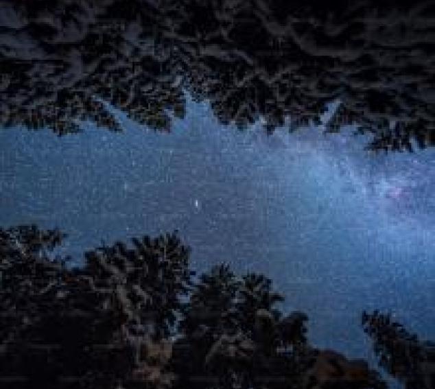 Photo: Ales Krivec/Unsplash