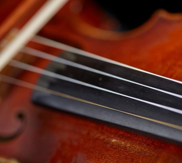 Violin Close Up (photo: Steve Korn)